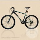 Herren-Mountainbike