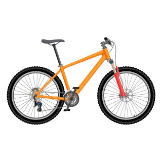 Damen-Mountainbike Blueberry